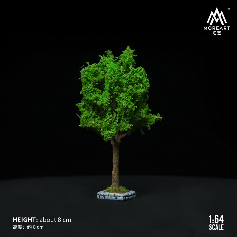 Cận cảnh tán cây xanh