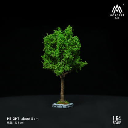 Cận cảnh tán cây xanh