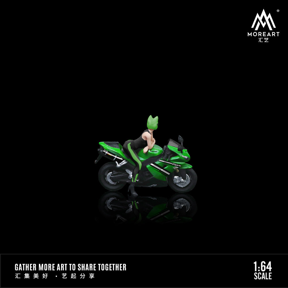 Hộp đựng diorama Kawasaki ZX-10R