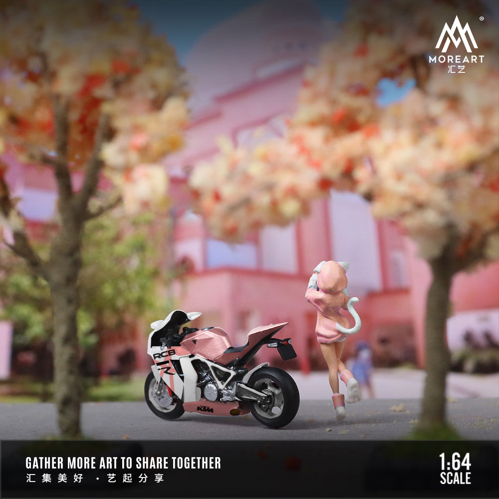 Vỏ hộp diorama KTM1190 MoreArt