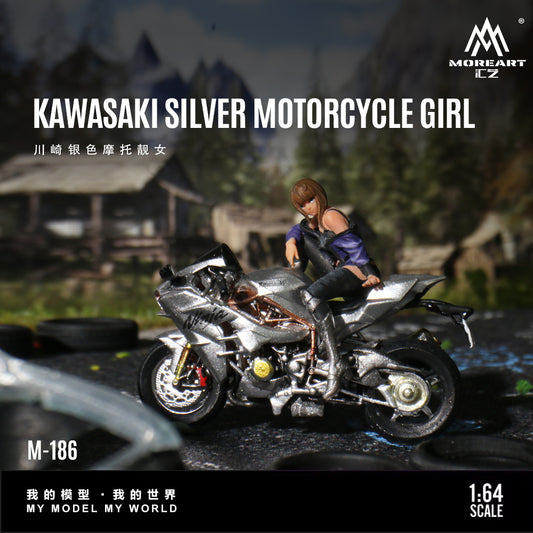 Góc trước mô hình Kawasaki Silver