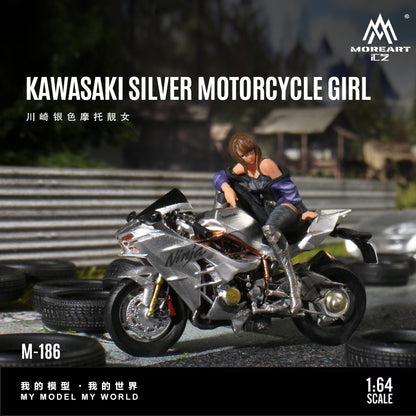 Góc nghiêng mô hình Kawasaki Silver