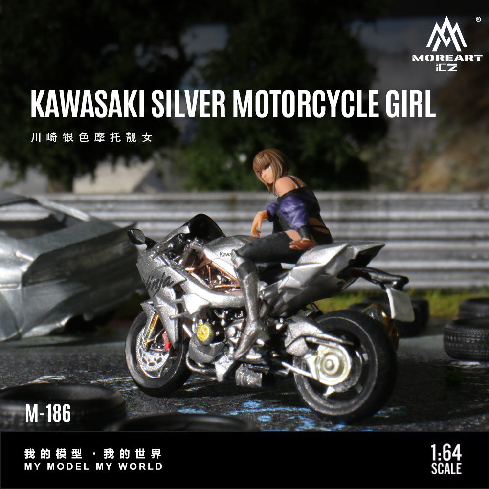 Chi tiết xe Kawasaki Silver