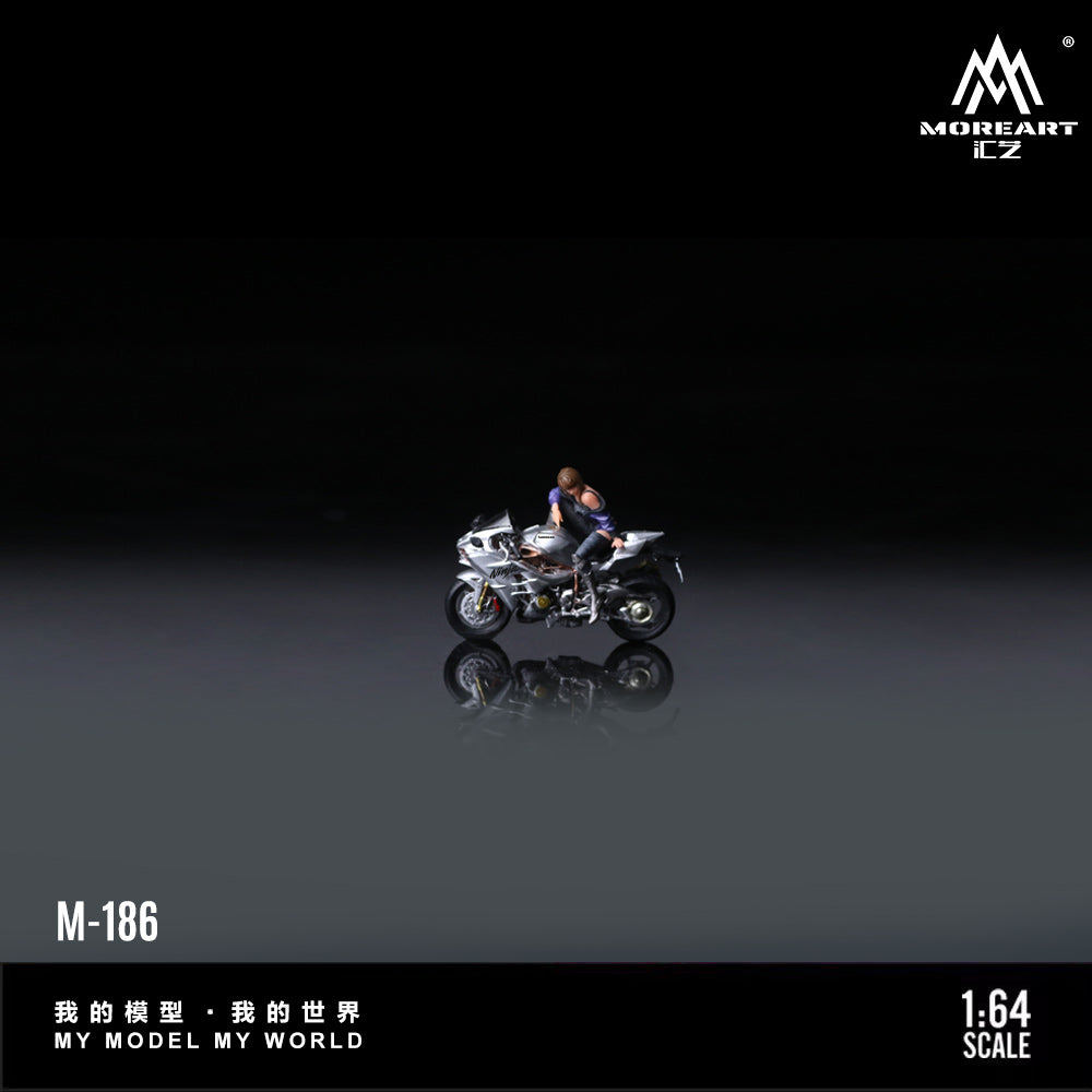 Tổng quan diorama Kawasaki Silver