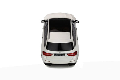 Mô hình xe GT SPIRIT 1:18 Mercedes-AMG E63 S T-Modell 2019 - GT795