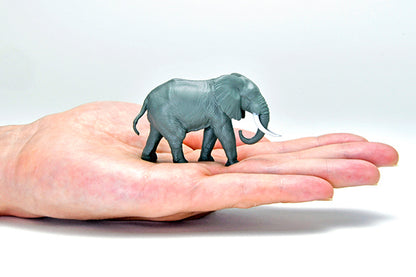 Mô hình xe Tomyca Limited Vintage TLV 1:64 x Tomica Limited Vintage Geocolle 64 #CarSnap 29a Safari 2 (Toyota Hilux 4WD Pickup Double Cab Included) | Kaiyodo