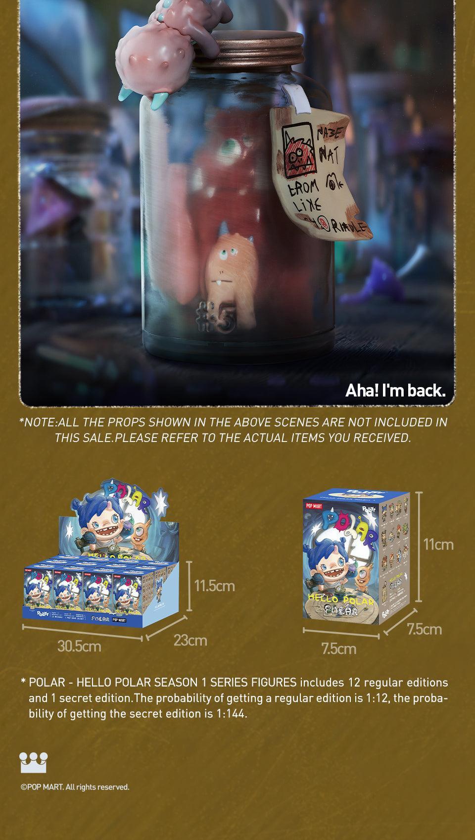 POP MART POLAR - HELLO POLAR Season 1 Series Figures Blind Box Action Toys Figure Birthday Gift Kid Toy